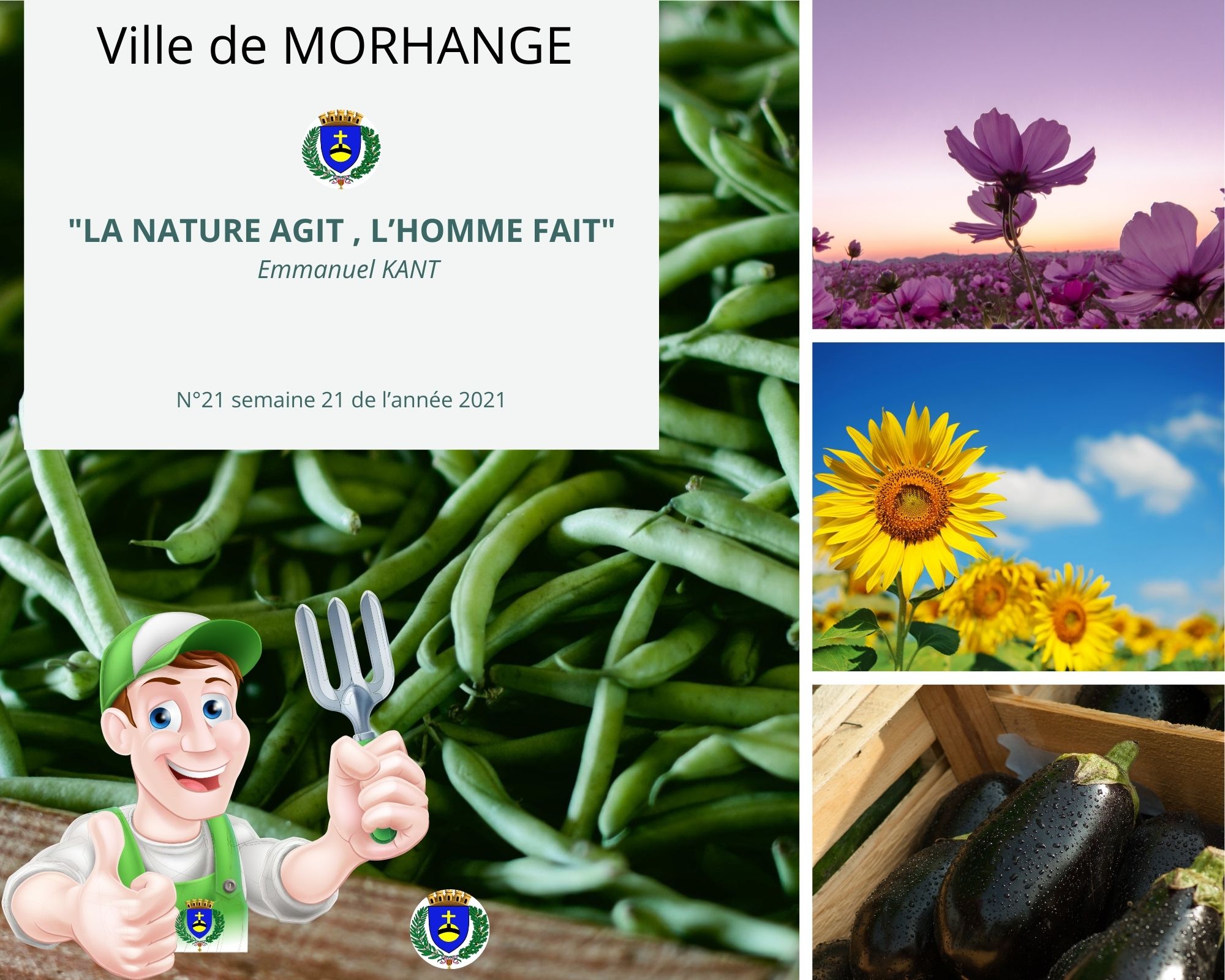 La nature agit, l'homme fait : Semaine 21